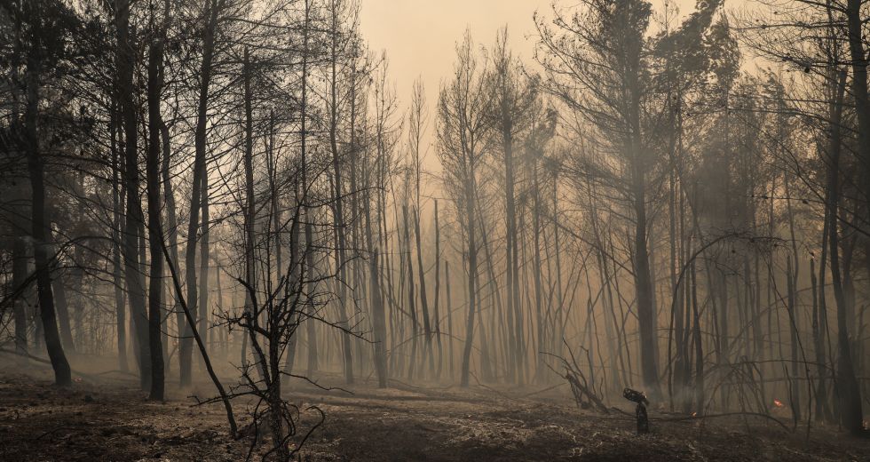 Έξι μήνες περιβαλλοντικής καταστροφής στην Ελλάδα