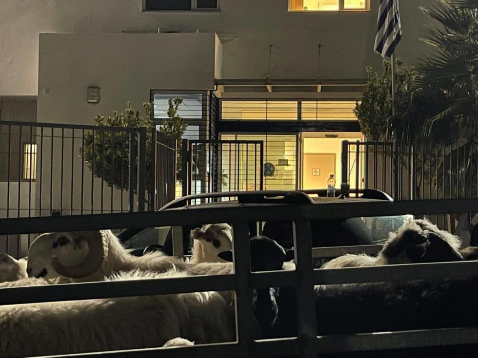 Έντονο το πρόβλημα της αδεσποτίας προβάτων και των αγροζημιών στα Χανιά
