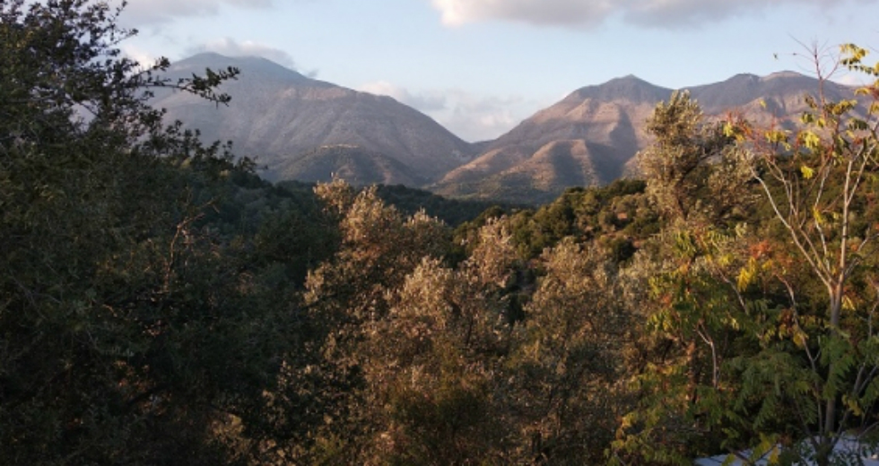 Ο εναλλακτικός τουρισμός στην Κρήτη με επίκεντρο τον Ψηλορείτη