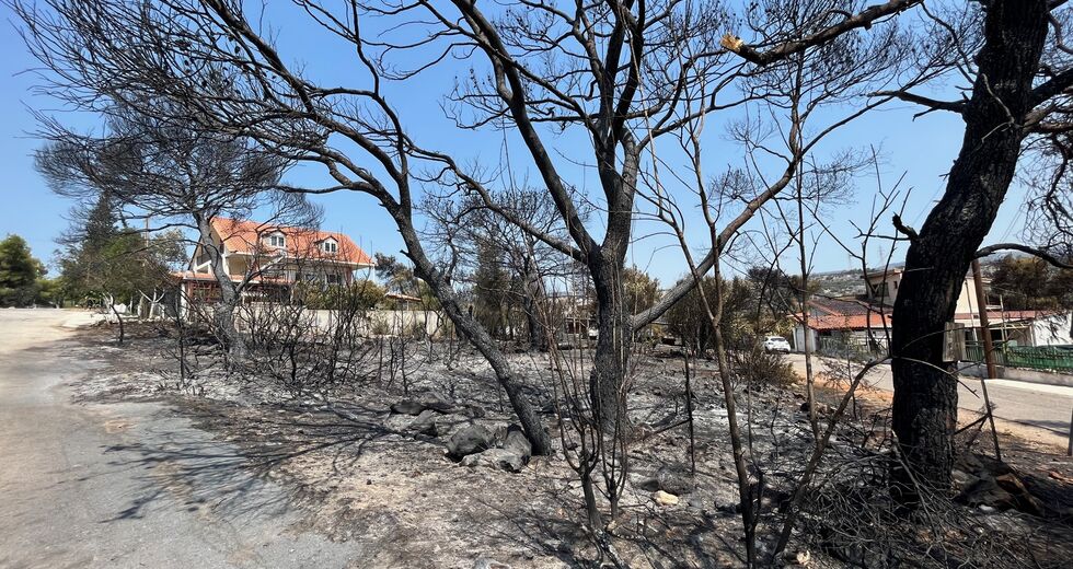 Απόγνωση: «Αυτή η περιοχή μοιάζει καταραμένη»