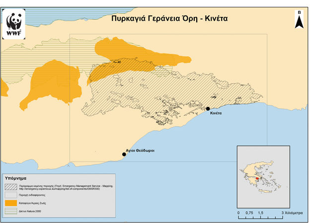 Τεράστια και η οικολογική καταστροφή στην Αττική