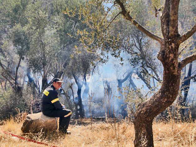 Το φαιό αυγό του φιδιού στο «κόκκινο νησί»