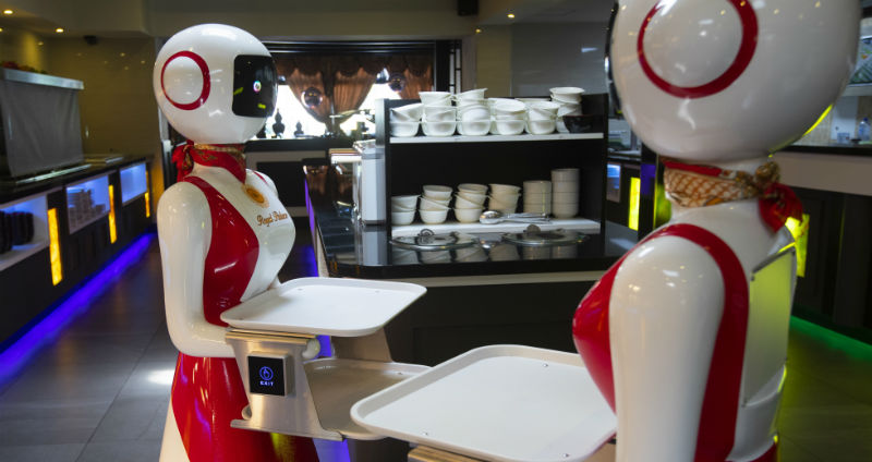 Ρομπότ σε ρόλο σερβιτόρου στην Ολλανδία