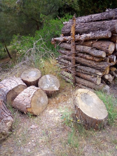 Κινδύνευσε να γίνει παρανάλωμα το Σέιχ Σου