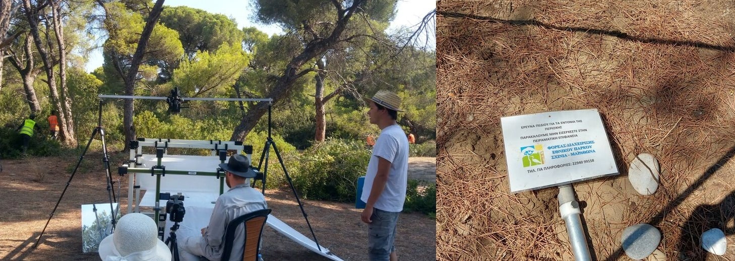 Μπουλντόζες βγήκαν στον Σχινιά