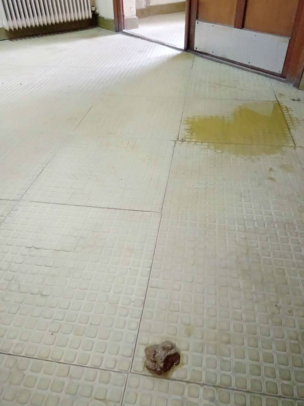Καταγγελία φοιτητών ΔΠΘ για τις συνθήκες στη Λέσχη Σίτισης