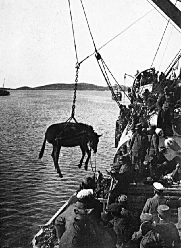Από την Οθωμανική Αυτοκρατορία στην Καταστροφή του ’22