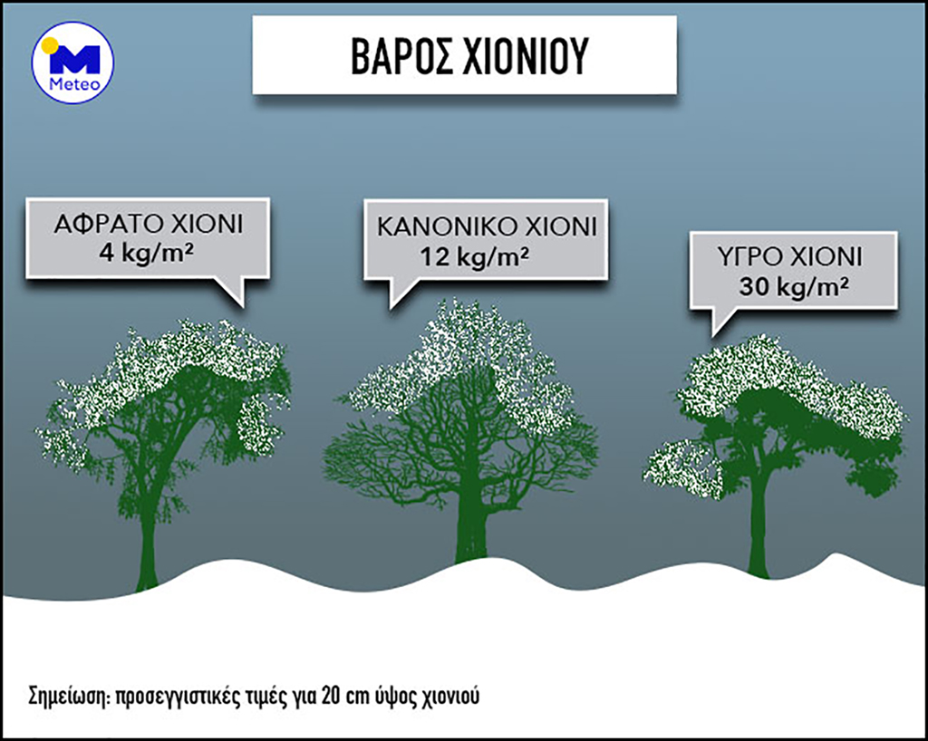 Η μορφή του χιονιού και η πτώση των δένδρων