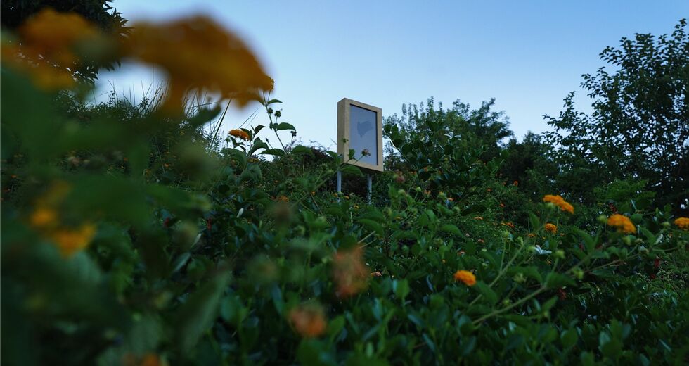 Μια έκθεση που «περπατιέται» μετά τη δύση του ήλιου