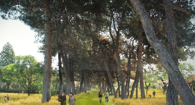 Εφτασε η ώρα να ανθίσει