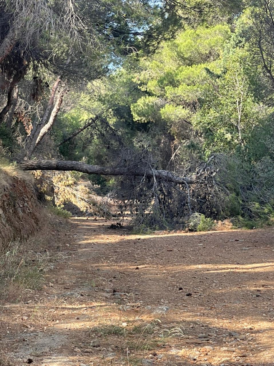 ΣΥΡΙΖΑ: «Μπαρουταποθήκη ο Υμηττός, με ευθύνη Μητσοτάκη-Στυλιανίδη»