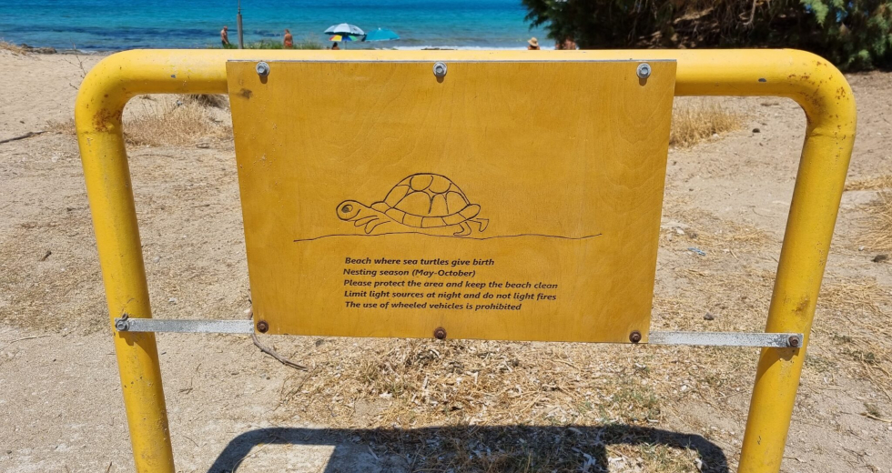 Παρέμβαση Ομάδας Πολιτών για την προστασία των θαλάσσιων χελωνών στο Ακρωτήρι