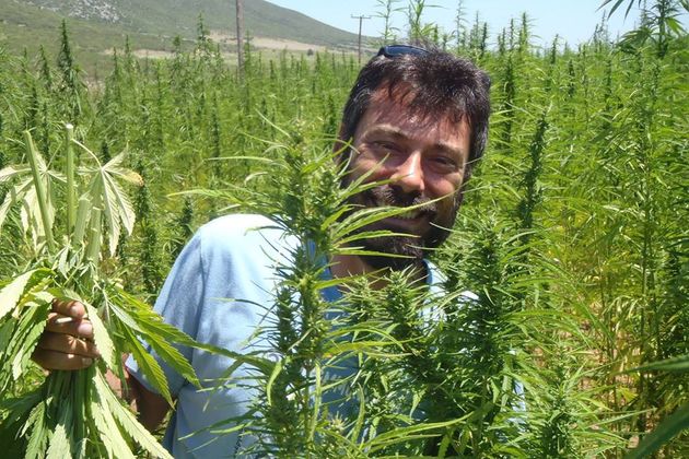 Φαρμακευτική κάνναβη: Μια τεράστια ευκαιρία για τη χώρα