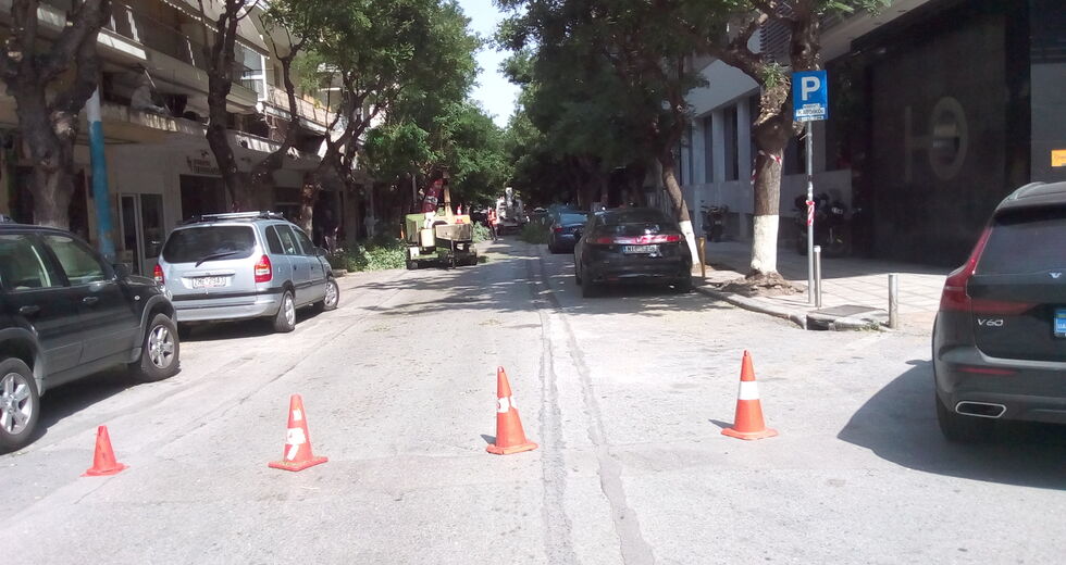 Οι δεντροκτόνοι με τα πριόνια