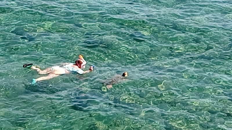 Ταλαιπωρούν τις χελώνες Καρέτα