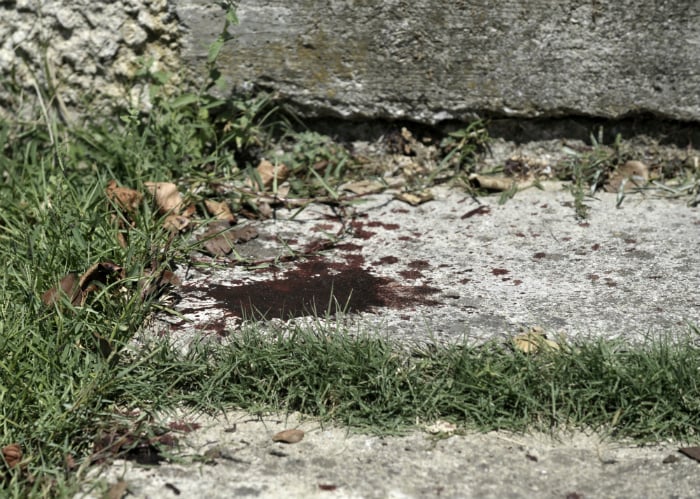 Σκότωσε τον αδελφό του για κτηματικές διαφορές