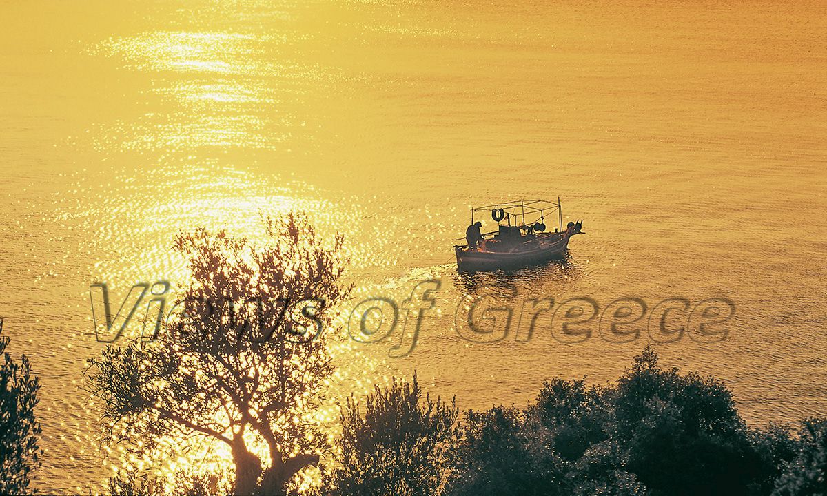Στα νησιά της γαλήνης θ’ ακούς μόνο τα… Τριζόνια και θα πας μόνο με 2 ευρώ
