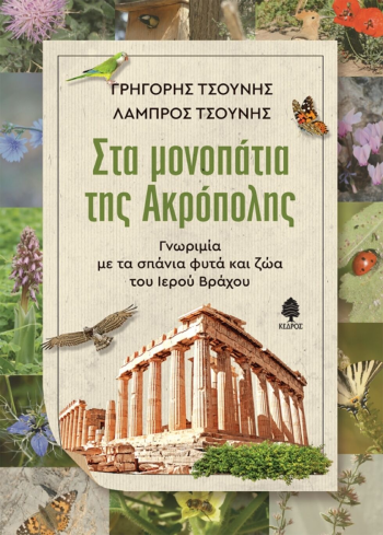Ο Γιώργος Σεφέρης, η Ακρόπολη και τα φυσικά δρώμενα