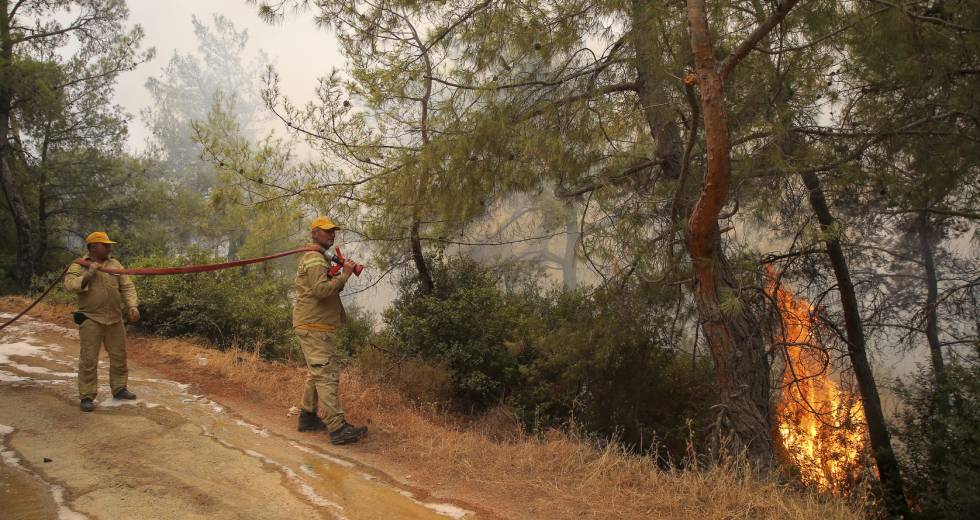 Οκτώ οι νεκροί από τις δασικές πυρκαγιές στην Τουρκία – η μάχη με τις φλόγες συνεχίζεται