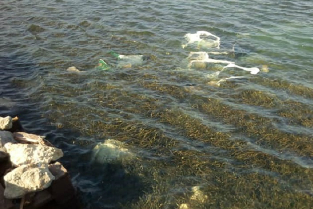 Κατέστρεψαν εξοπλισμό σε παραλίες των Χανίων