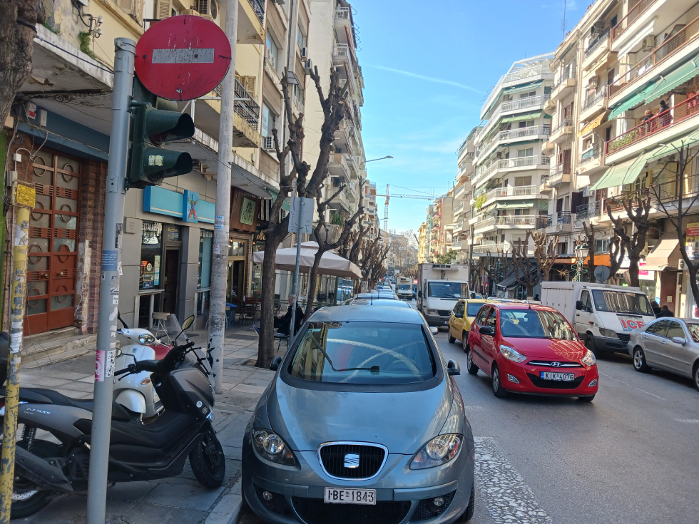 Μάχες σώμα με σώμα για τη σωτηρία των δέντρων