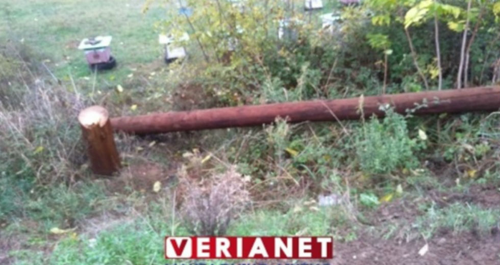 Έκοψαν κολώνες της ΔΕΗ και άφησαν χωρίς ρεύμα καταυλισμό προσφύγων