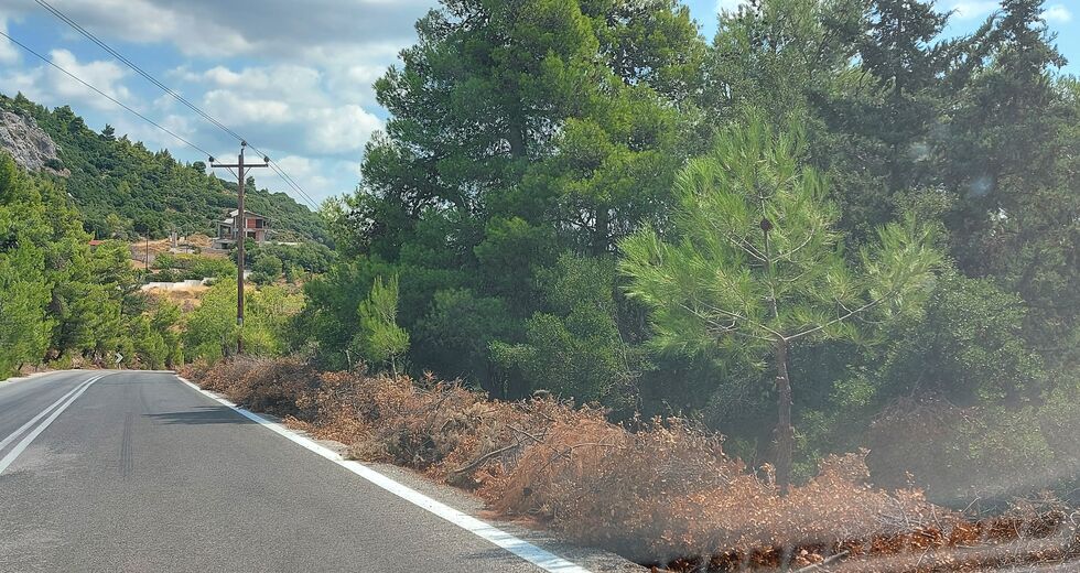 Ο ζήλος των εθελοντών πρόλαβε τα χειρότερα στα Βίλια