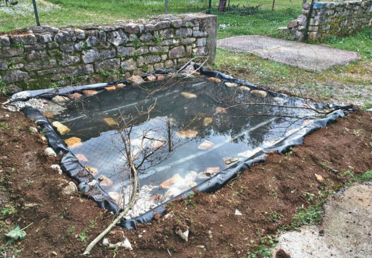 Το στοίχημα του σήμερα για διάσωση της πανίδας στα ελληνικά νησιά