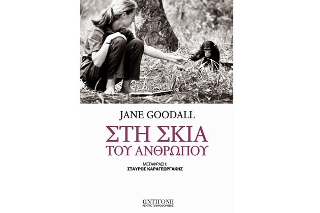 Τι μας διδάσκουν οι χιμπατζήδες;