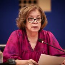 Λόφος Καστέλλι: Τα Χανιά αντιστέκονται στην ξενοδοχοποίησή του
