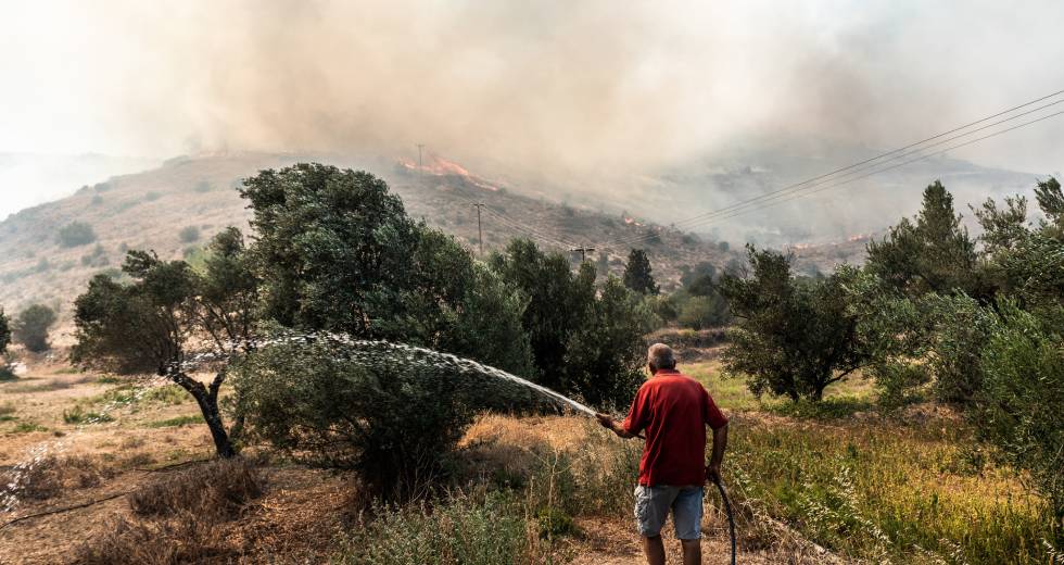 Απελπισία: Η επόμενη ημέρα από τις καταστροφικές πυρκαγιές