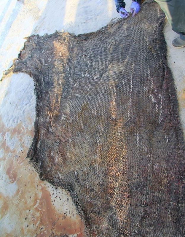 100 κιλά «μπάλα σκουπιδιών» στο στομάχι φάλαινας
