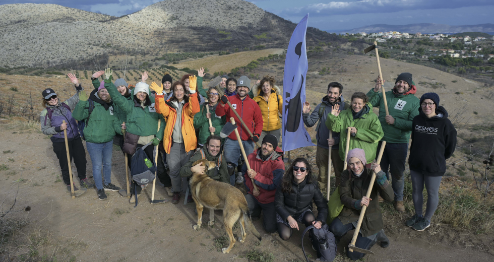 WWF και εθελοντές έδωσαν ζωή στο δάσος του Σουνίου με 15.000 νέα φυτά