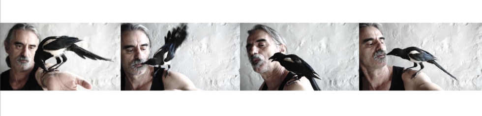 Το εικαστικό καλοκαίρι ξεκινάει στον Πόρο