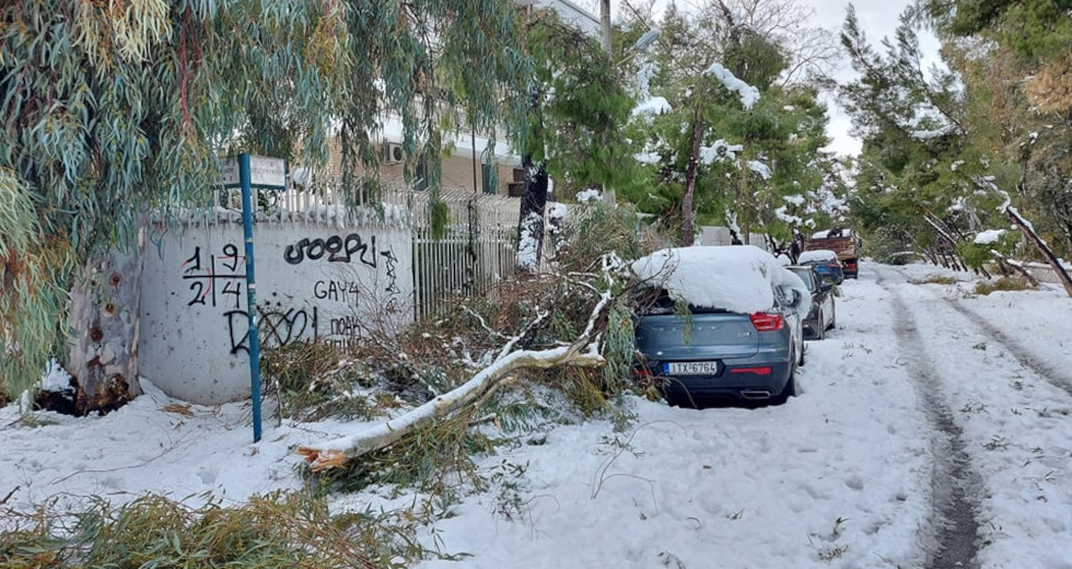 Έξι μήνες περιβαλλοντικής καταστροφής στην Ελλάδα