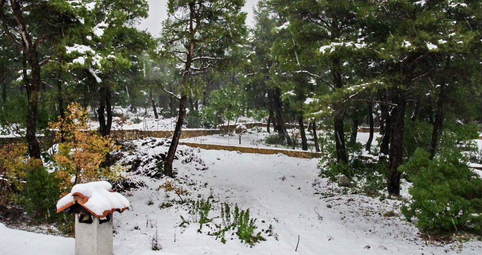 Το πέρασμα της «Ζηνοβίας» σε εικόνες