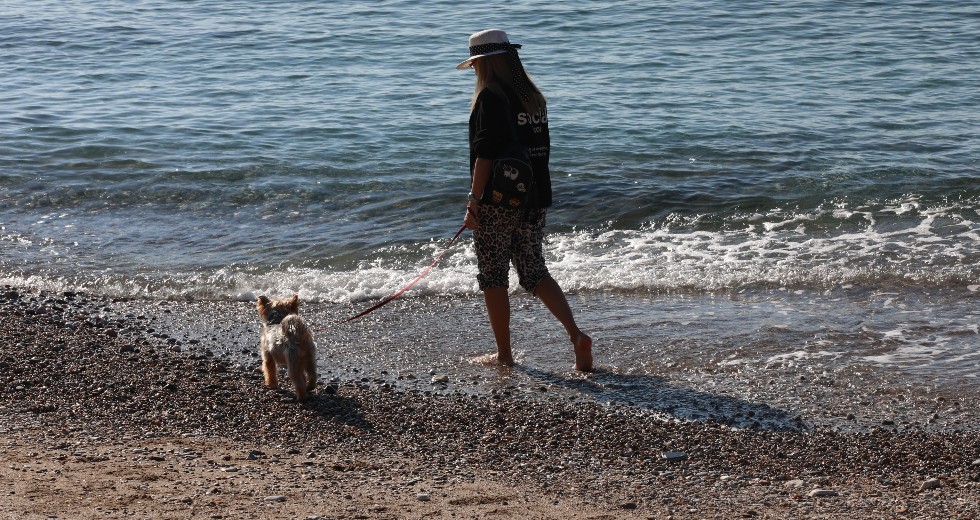Χριστούγεννα με γεμάτες παραλίες από λουόμενους φέτος