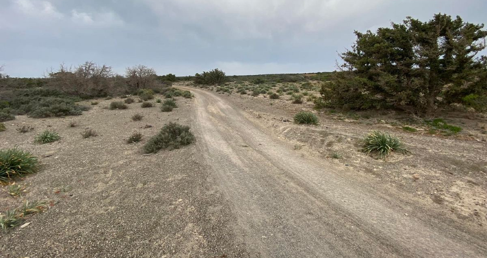 Πεθαίνει η φύση στο Γαϊδουρονήσι