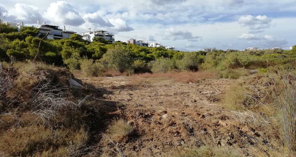 Κρανίου τόπο άφησαν τις Μαρίκες στη Ραφήνα