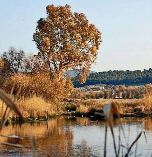 Οικολογικό έγκλημα διαρκείας στην Εύβοια