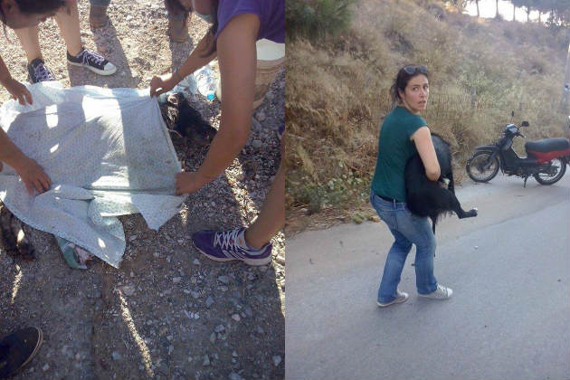 Πάλεψαν με τις φλόγες για να σώσουν τα σκυλιά