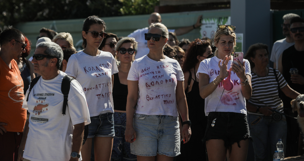 Σάλος και διαμαρτυρίες για τη θανάτωση χιμπατζή από το Αττικό Ζωολογικό Πάρκο
